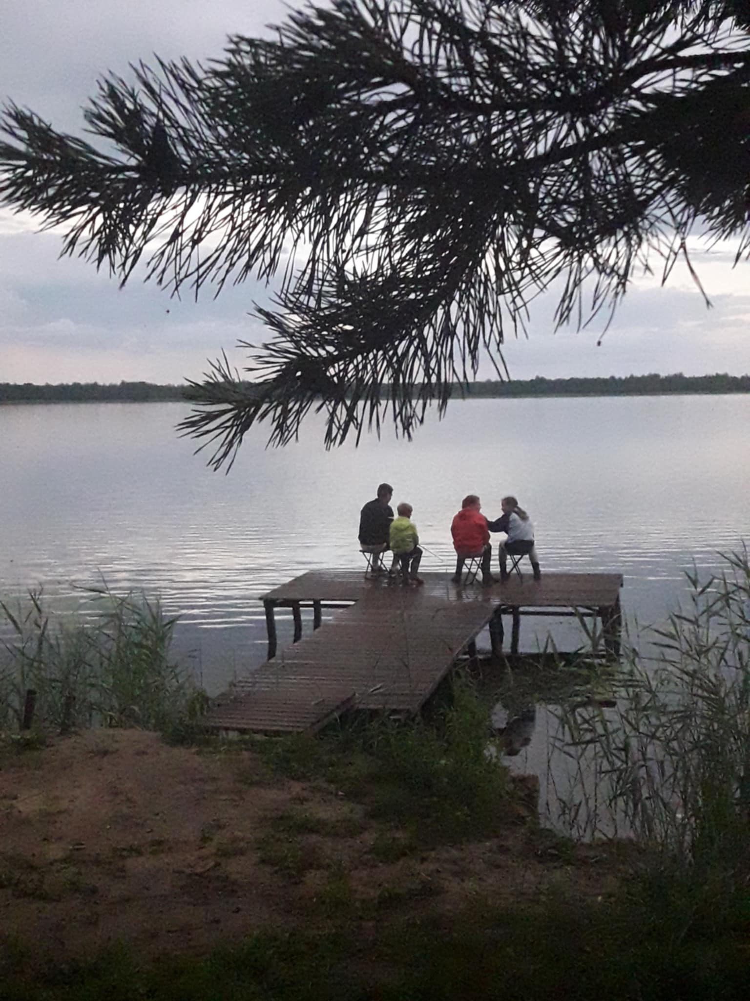 Lietuvos šeimynų asosiacija